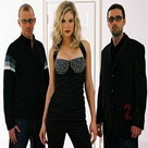The Ailerons