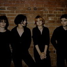 Elastica